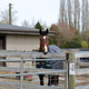 Illustration for article titled Pics from the (Stable)side: 2018-04-15 to Southlands